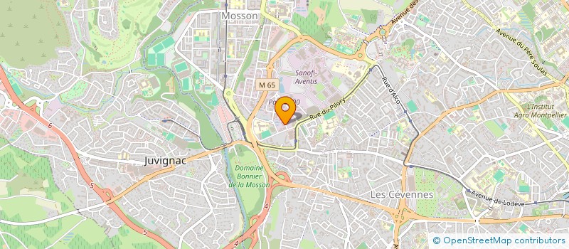 localisation de l'entreprise RESEAU M.A.M MAROC AFRIQUE MEDITERRANEE à MONTPELLIER