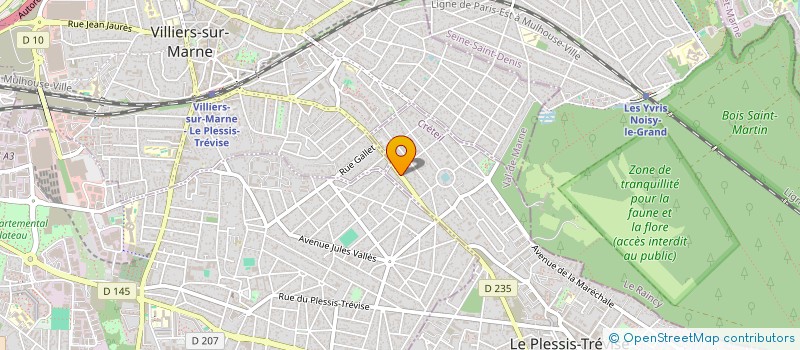 localisation de l'entreprise RESEAU MEG  LE PLESSIS-TREVISE
