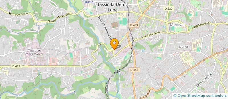 localisation de l'entreprise RESEAU UNI'ART  TASSIN-LA-DEMI-LUNE