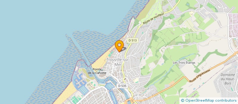 localisation de l'entreprise RESIDENCE 56 RUE ORLEANS  TROUVILLE-SUR-MER