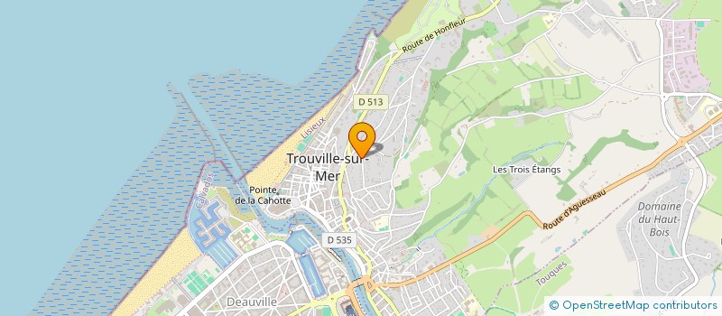 localisation de l'entreprise RESIDENCE  TROUVILLE-SUR-MER
