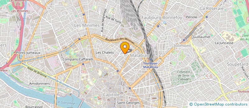 localisation de l'entreprise RESIDENCE DES FLEURS à TOULOUSE