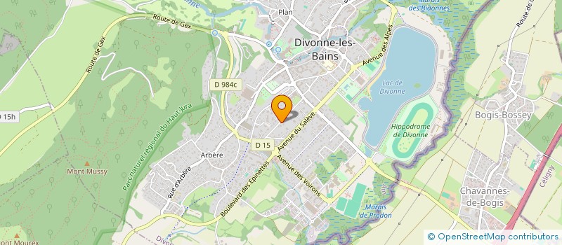 localisation de l'entreprise RESIDENCE GEMINI à DIVONNE-LES-BAINS
