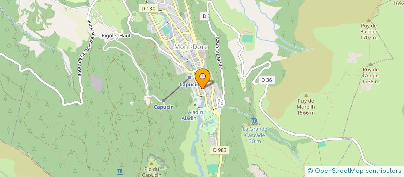 localisation de l'entreprise RESIDENCE LA FEUILLEE  MONT-DORE