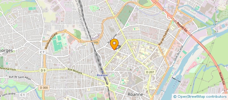 localisation de l'entreprise RESIDENCE LES BLEUETS  ROANNE