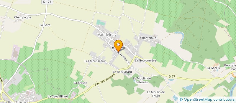 localisation de l'entreprise RESIDENCE LES COQUELICOTS  MONTREUIL-BELLAY