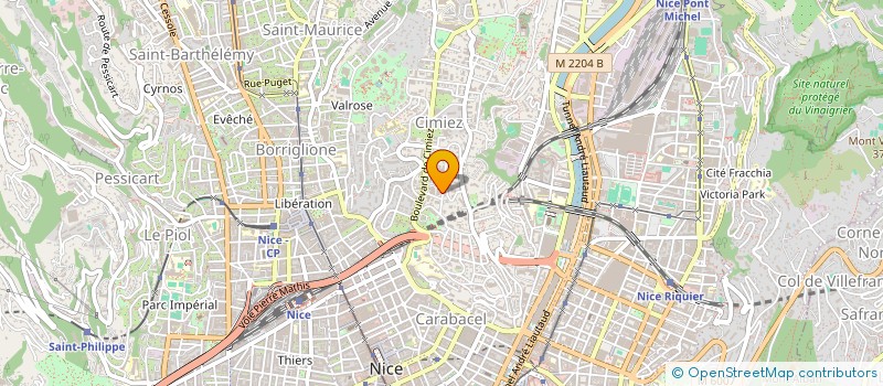 localisation de l'entreprise RESIDENCE LES PALMIERS  NICE