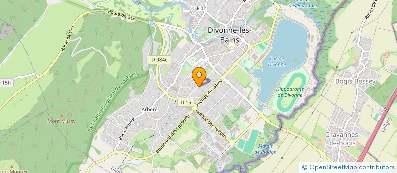 localisation de l'entreprise RESIDENCE METNA à DIVONNE-LES-BAINS
