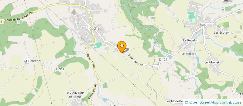 localisation de l'entreprise RESILIENCE ETOILEE  ROCHE