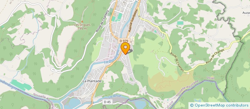 localisation de l'entreprise RESILIENCE INTERNATIONALE à BORT-LES-ORGUES