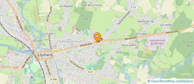 localisation de l'entreprise REST'O BAR BRESSE à LOUHANS