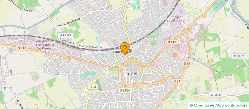 localisation de l'entreprise RESTAURANT CHODOREILLE  LUNEL