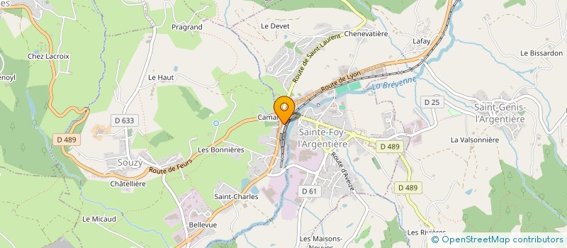 localisation de l'entreprise RESTAURANT DANI  SAINTE-FOY-L'ARGENTIERE