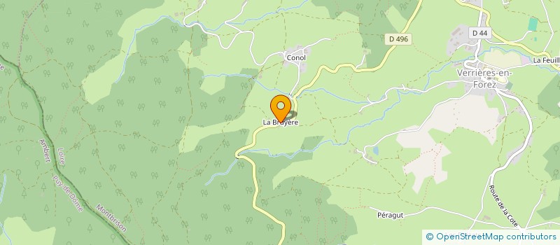 localisation de l'entreprise RESTAURANT DE LA BRUYERE  SAVIGNEUX