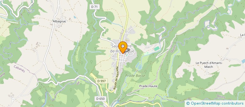 localisation de l'entreprise RESTAURANT DES AMIS à SAUVETERRE-DE-ROUERGUE