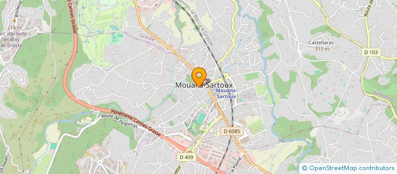 localisation de l'entreprise RESTAURANT DU CHATEAU  MOUANS-SARTOUX