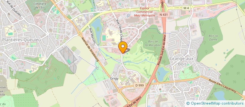 localisation de l'entreprise RESTAURANT GARDEN GOLF METZ TECHNOPOLE  METZ