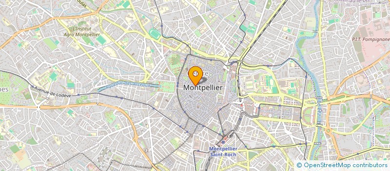 localisation de l'entreprise RESTAURANT LE TAGINE à MONTPELLIER