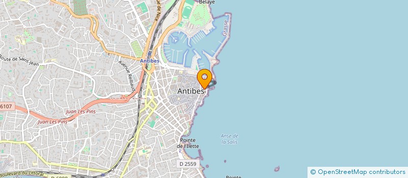 localisation de l'entreprise RESTAURATION D ART ET ARTISANT à ANTIBES