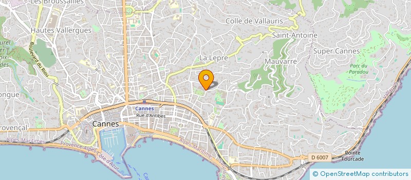 localisation de l'entreprise RESURGENT  CANNES