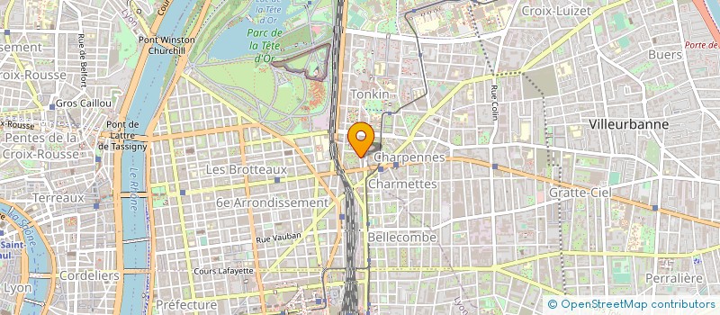 localisation de l'entreprise RETURN ON INVESTISSEMENT à LYON
