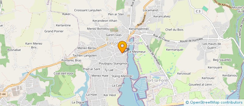 localisation de l'entreprise REUNION 29-33  LA FORET-FOUESNANT