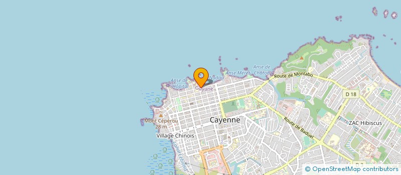 localisation de l'entreprise REUNION DES ASSUREURS MALADIE à CAYENNE