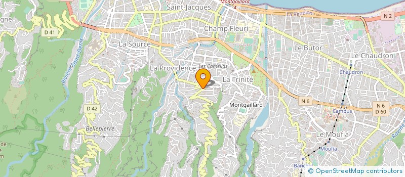 localisation de l'entreprise REUNION NETTOYAGE à SAINT-DENIS