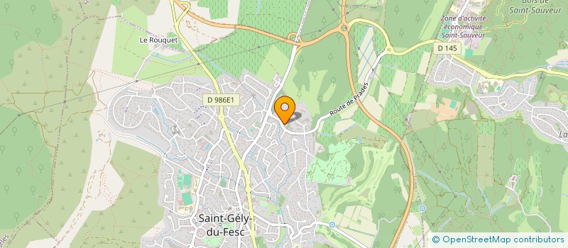 localisation de l'entreprise REUS IMMOBILIER  SAINT-GELY-DU-FESC