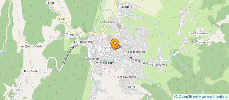 localisation de l'entreprise REV'ALICO à VILLARD-DE-LANS