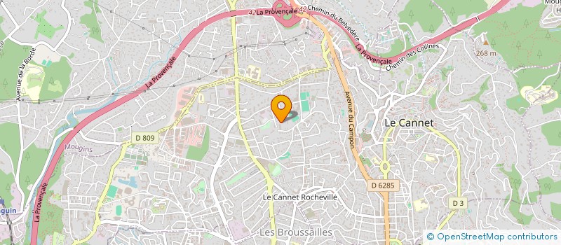localisation de l'entreprise REV'S D ARTISTES à LE CANNET