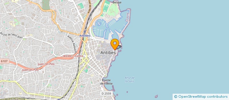 localisation de l'entreprise REVE COACHING à ANTIBES