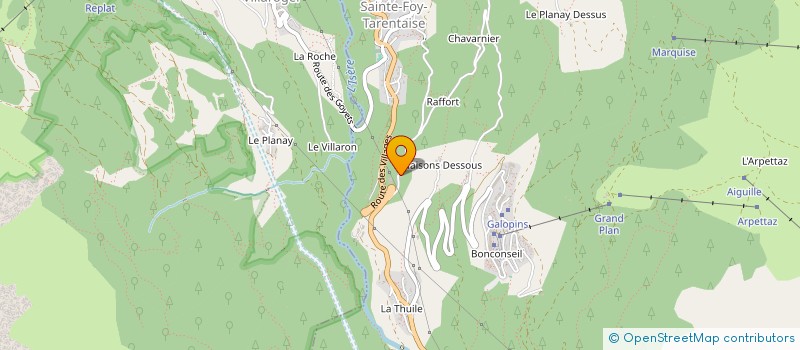 localisation de l'entreprise REVE D'ALPAGES à SAINTE-FOY-TARENTAISE