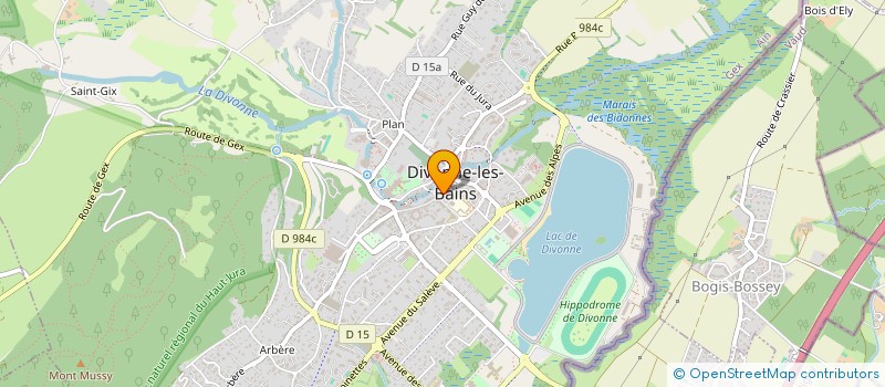 localisation de l'entreprise REVE DE COCCINELLE à DIVONNE-LES-BAINS