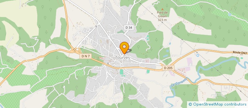 localisation de l'entreprise REVE PROVENCAL IMMOBILIER  TOURVES