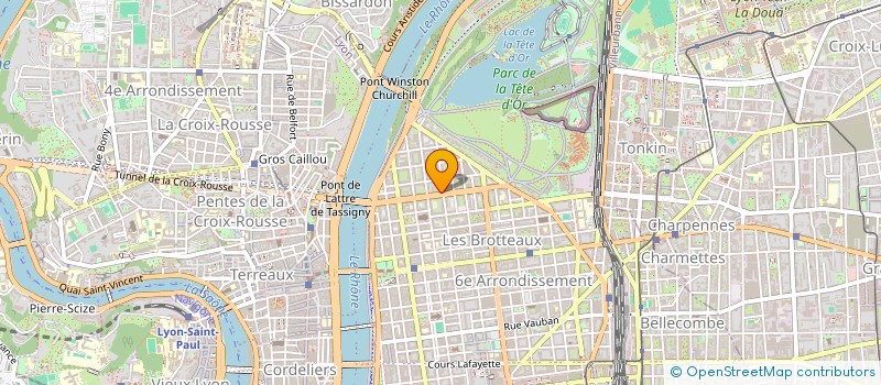 localisation de l'entreprise REVEL CONSEIL & INVESTISSEMENT  LYON