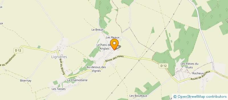 localisation de l'entreprise REVERSE SARL  LIGNIERES