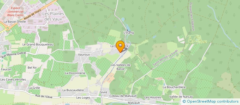 localisation de l'entreprise REVERSE TAPES  CHINON