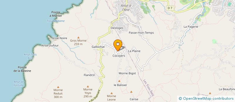 localisation de l'entreprise REVO IMMO  LES ANSES-D'ARLET