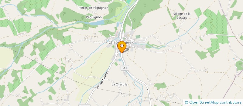 localisation de l'entreprise REVOLTADE  CHATEAUVIEUX