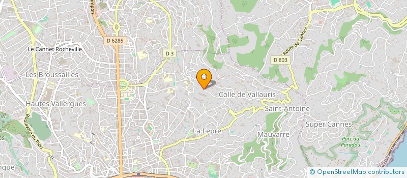 localisation de l'entreprise REVOLUTA  CANNES