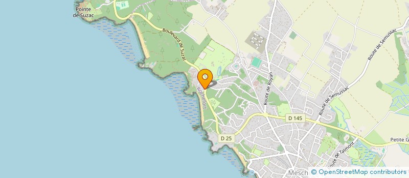 localisation de l'entreprise REVREAL  MESCHERS-SUR-GIRONDE