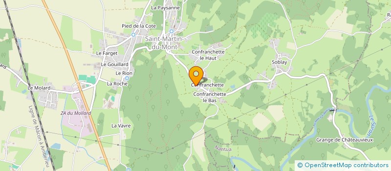 localisation de l'entreprise REVUE INTERNATIONALE DE CREATION S/V  SAINT-MARTIN-DU-MONT