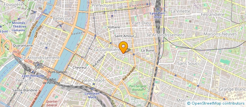 localisation de l'entreprise REVUE L'OUROBOROS  LYON