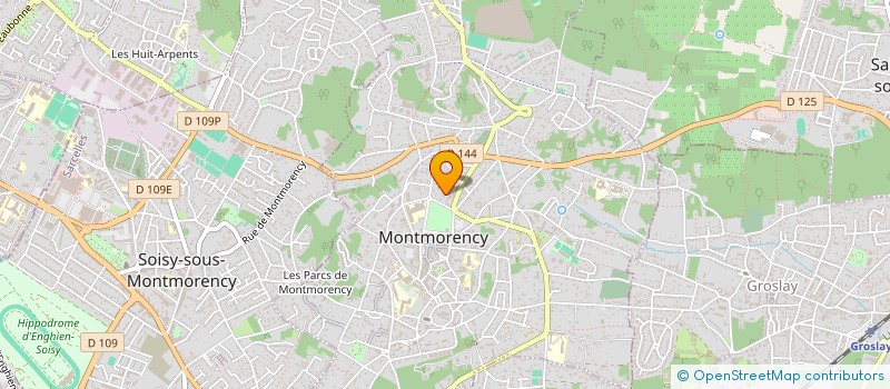 localisation de l'entreprise REY DE FORESTA  MONTMORENCY