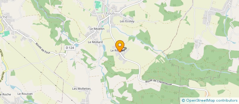 localisation de l'entreprise REY PAYSAGES SERVICES  FOUR