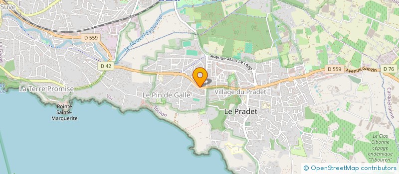 localisation de l'entreprise REZMEETINGS  LE PRADET