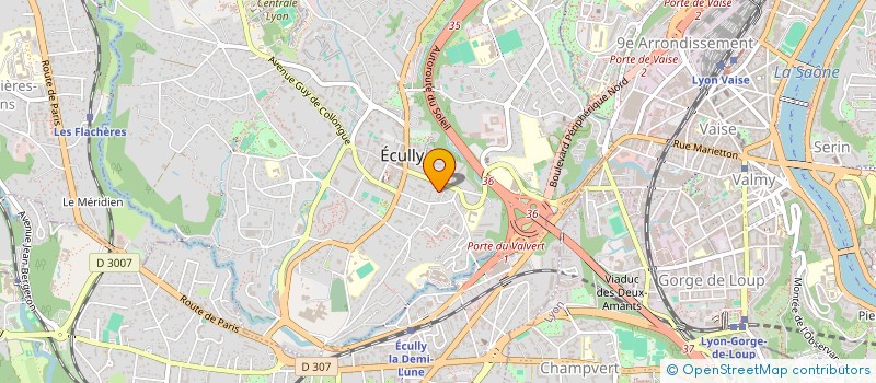 localisation de l'entreprise RF-HOLDING  ECULLY