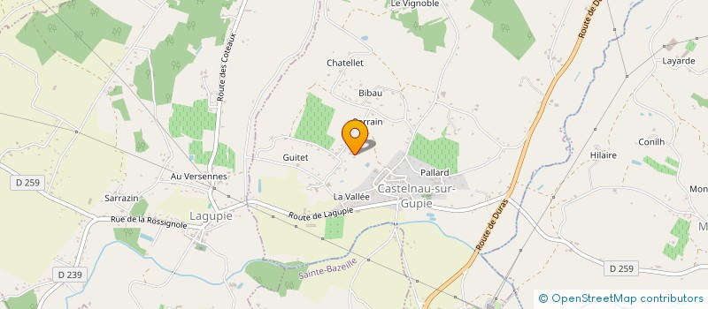 localisation de l'entreprise RG HOLIDAYS  CASTELNAU-SUR-GUPIE