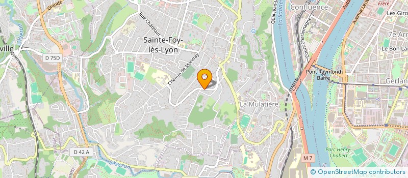 localisation de l'entreprise RG INVEST  SAINTE-FOY-LES-LYON